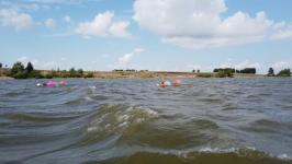 Моржи Тюмени переплыли Ишимское море в Северном Казахстане