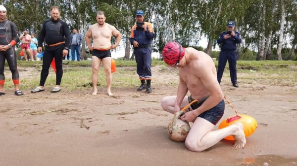 Моржи Тюмени переплыли Ишимское море в Северном Казахстане