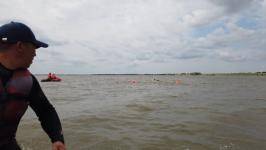 Моржи Тюмени переплыли Ишимское море в Северном Казахстане