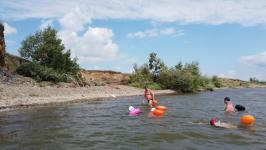 Моржи Тюмени переплыли Ишимское море в Северном Казахстане