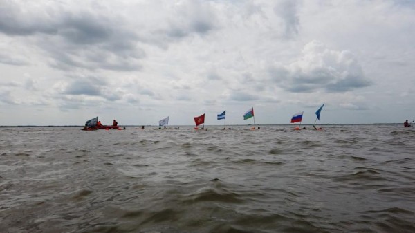 Моржи Тюмени переплыли Ишимское море в Северном Казахстане