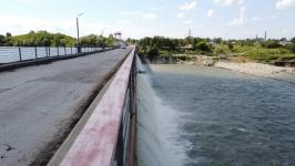 Моржи Тюмени переплыли Ишимское море в Северном Казахстане