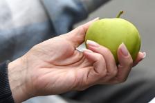 Истории жителей Тюмени, Ялуторовска и Заводоуковска легли в основу аудио променада 