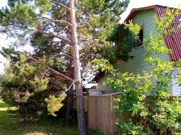В Тюменской области количество предложений по суточной аренде дач увеличилось на 37 % за июль