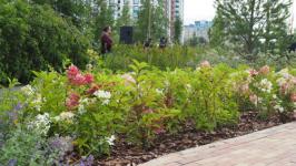 Бульвар Пожарных и спасателей торжественно открыли в Тюмени