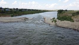 Моржи Тюмени переплыли Ишимское море в Северном Казахстане