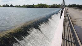 Моржи Тюмени переплыли Ишимское море в Северном Казахстане