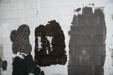 Тюменская компания наладила выпуск импортозамещающей мраморной штукатурки