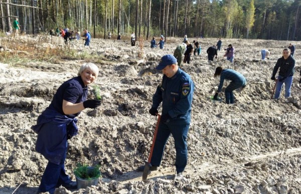Более 500 саженцев сосны высадили сотрудники водоканала на месте сгоревшего леса 