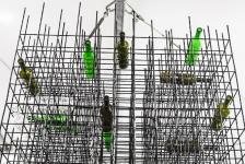 Китайская компания впервые откроет стенд на TNF