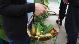 В Тюмени пациенты после инсульта проходят трудотерапию в теплице