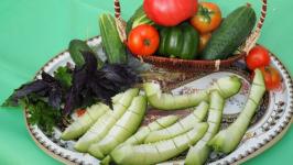 В Тюмени пациенты после инсульта проходят трудотерапию в теплице