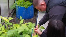 В Тюмени пациенты после инсульта проходят трудотерапию в теплице