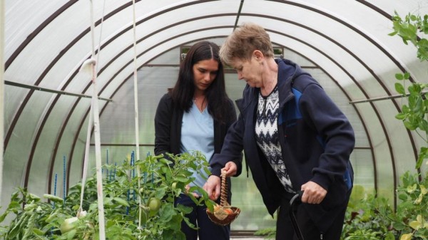 В Тюмени пациенты после инсульта проходят трудотерапию в теплице