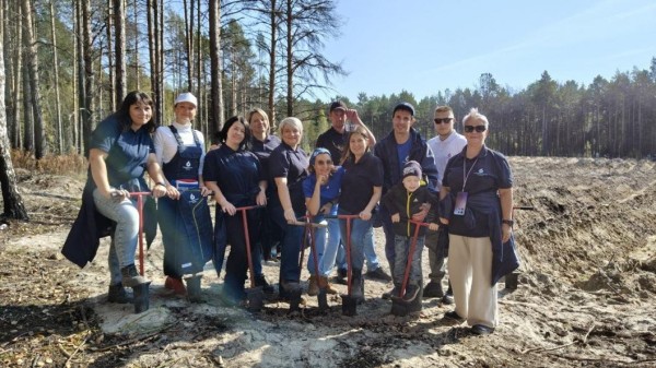 Более 500 саженцев сосны высадили сотрудники водоканала на месте сгоревшего леса 