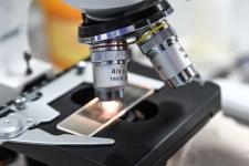 Финалистам конкурса "Мастер года-2024" расскажут о методике бесшовного образования Тюменского медколледжа