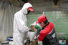 Тюменская компания наладила выпуск импортозамещающей мраморной штукатурки