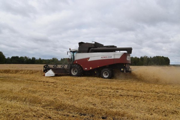 Урожай зерновых в Тюменской области приближается к отметке 1,5 миллиона тонн 