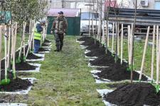 Сквер Добровольцев открыли на Московском тракте в Тюмени