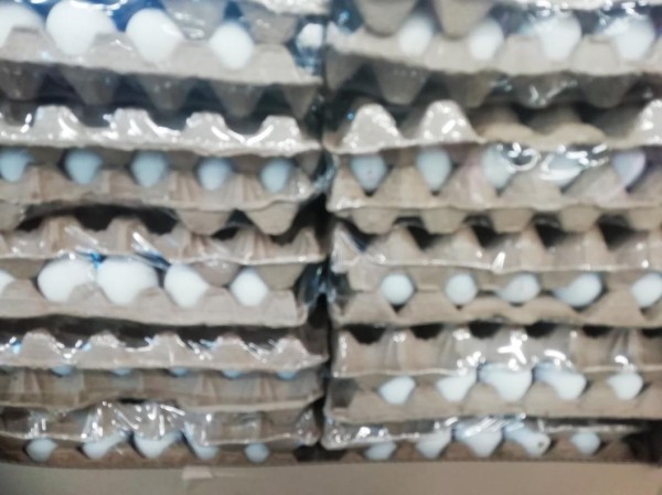 Птицефабрики Тюменской области произвели около 800 млн яиц с начала года