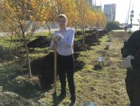В озеленении района Тюменская слобода принял участие депутат городской думы В озеленении района Тюменская слобода принял участие депутат городской думы