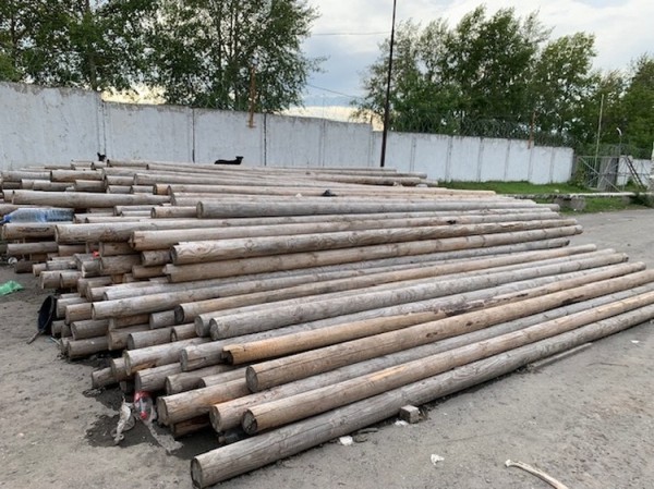 Житель Тюменской области незаконно перевез через границу лесоматериалы