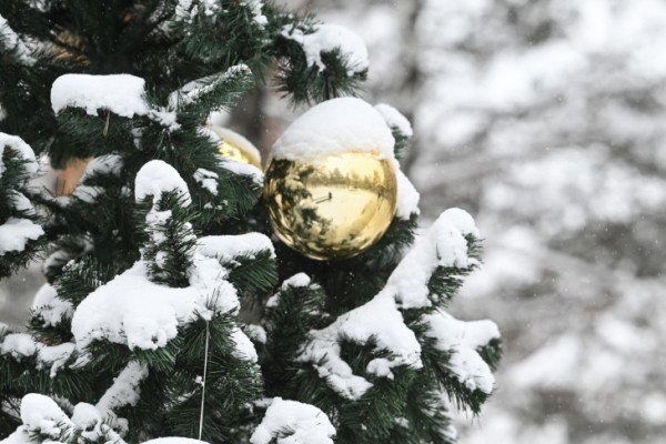 Более 330 мероприятий  готовят для тюменцев к Новому году