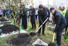 Сквер Добровольцев открыли на Московском тракте в Тюмени