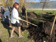 В озеленении района Тюменская слобода принял участие депутат городской думы В озеленении района Тюменская слобода принял участие депутат городской думы