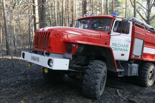 Время реагирования на пожары сократили в Тюменской авиабазе Время реагирования на пожары сократили в Тюменской авиабазе