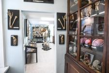 Обновленный анатомический музей открыли в ГАУ Северного Зауралья в Тюмени