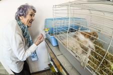 Обновленный анатомический музей открыли в ГАУ Северного Зауралья в Тюмени