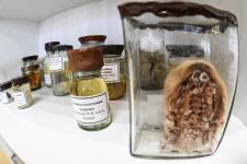 Обновленный анатомический музей открыли в ГАУ Северного Зауралья в Тюмени