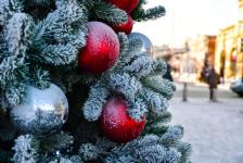 Живую ель на пешеходной улице Тюмени украсят игрушками местных мастеров