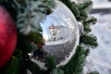 Живую ель на пешеходной улице Тюмени украсят игрушками местных мастеров