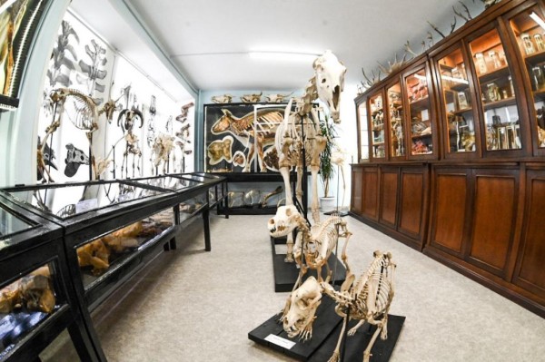 Обновленный анатомический музей открыли в ГАУ Северного Зауралья в Тюмени