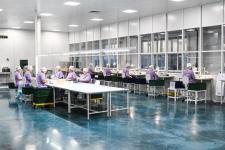 Новый производственный корпус запустили на тюменском предприятии медизделий "МИМ"