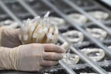 Новый производственный корпус запустили на тюменском предприятии медизделий "МИМ"