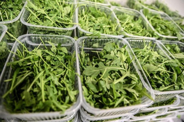 Объем поставок свежей зелени в Тюменскую область из Узбекистана увеличился на 34 % за год