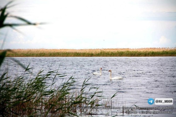 Александр Моор опубликовал фото финалистов конкурса "Самое красивое место Тюменской области"