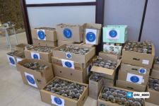 270 тысяч тюменцев готовы бескорыстно помогать людям