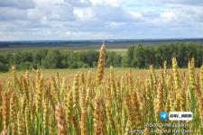 Александр Моор опубликовал фото финалистов конкурса "Самое красивое место Тюменской области"