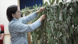 Более 700 тысяч рублей собрали в поддержку СВО на концерте в Тюмени Более 700 тысяч рублей собрали в поддержку СВО на концерте в Тюмени