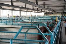 На водозаборах освятили поступающую в дома жителей Тюмени воду