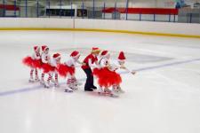 Тюменская область инициировала проведение Всероссийского дня фигурного катания