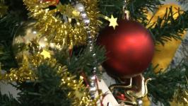 В Тюменской области команда "Елки желаний 72" поздравила детей из многодетных семей