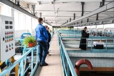 На водозаборах освятили поступающую в дома жителей Тюмени воду