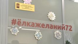 В Тюменской области команда "Елки желаний 72" поздравила детей из многодетных семей