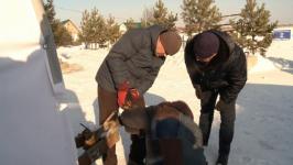 Передвижную баню передали бойцам в зону СВО тюменские моржи