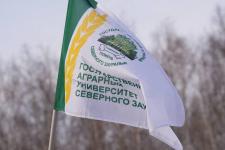 "Лыжня России 2025" собрала в Тюмени любителей спорта всех возрастов